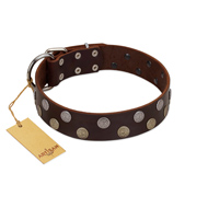 "Shadow Warrior" FDT Artisan Mystic Brown Leather Bullmastiff Collar with Runes