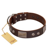 "Stone Stars" Stylish Handmade FDT Artisan Brown Leather Bullmastiff Collar