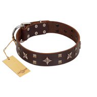 "Stars in Sands" Modern FDT Artisan Brown Leather Bullmastiff Collar with Studs and Stars
