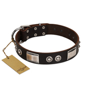 "Baller Status" FDT Artisan Brown Leather Bullmastiff Collar Adorned with a Set of Chrome Plated Studs and Plates