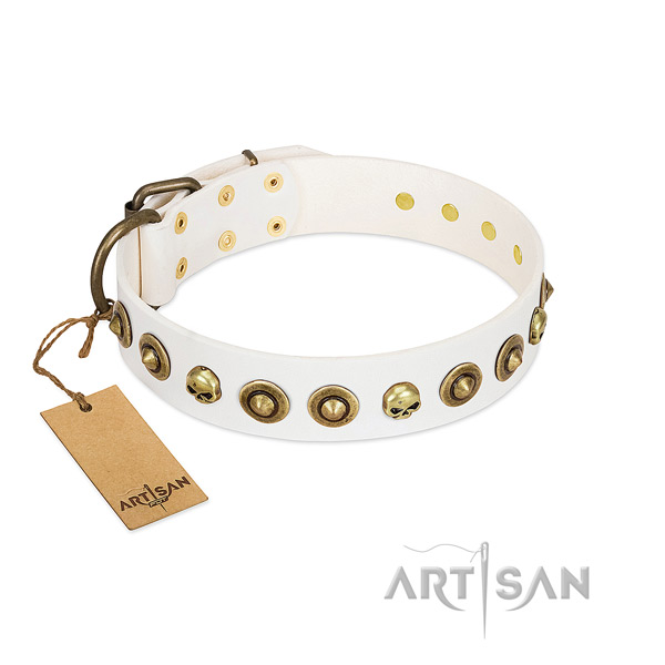 Natural leather collar with amazing embellishments for your pet