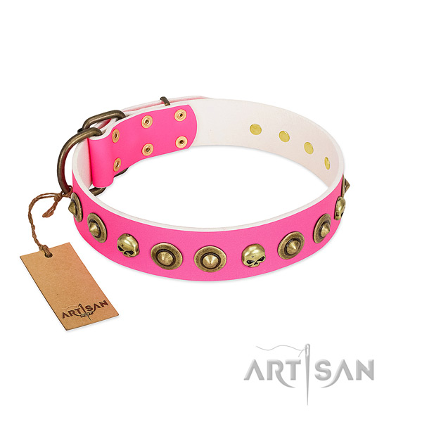 Trendy full grain leather dog collar with rust-proof adornments