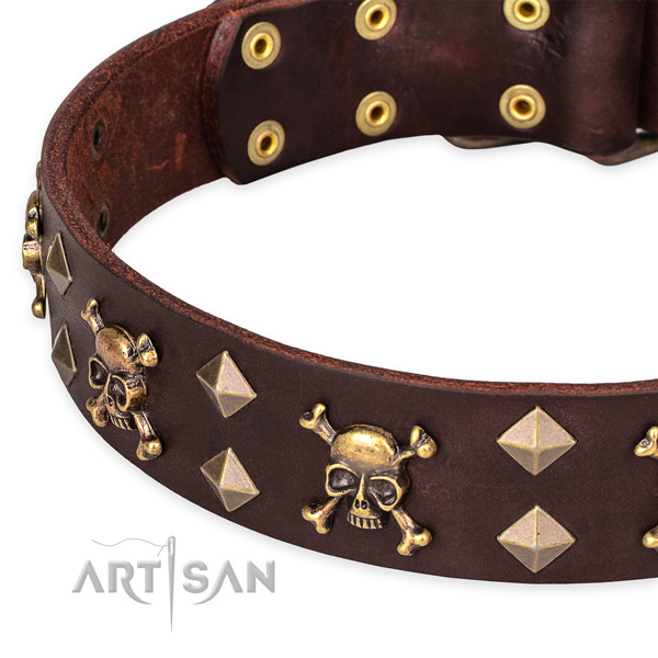 Everyday walking decorated dog collar of top notch full grain leather