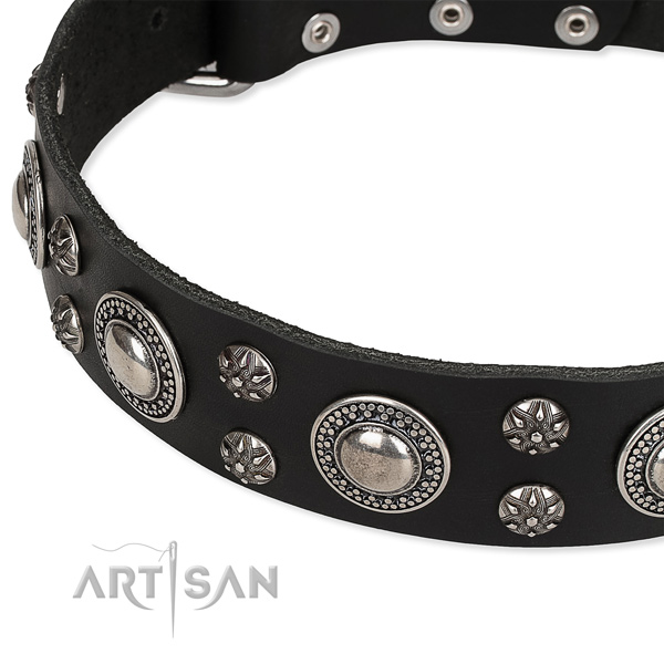 Comfortable wearing adorned dog collar of durable full grain genuine leather