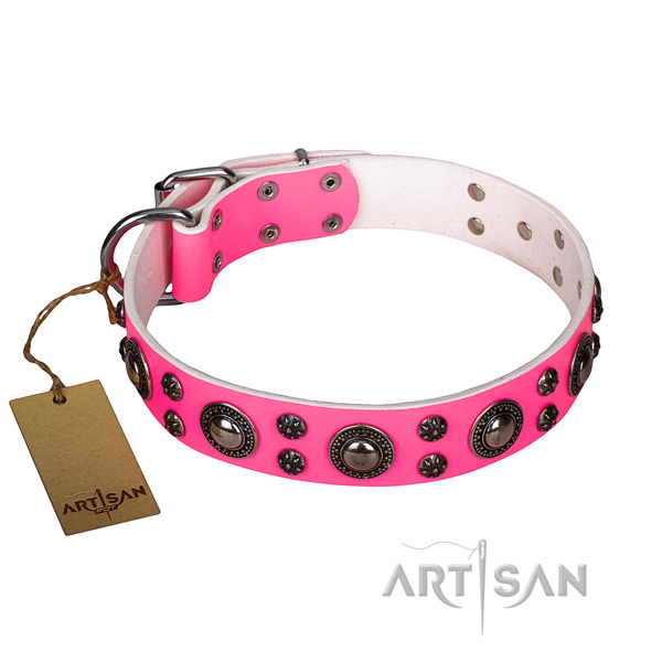 Basic training dog collar of top quality genuine leather with adornments