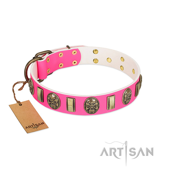 Reliable hardware on leather dog collar for your canine