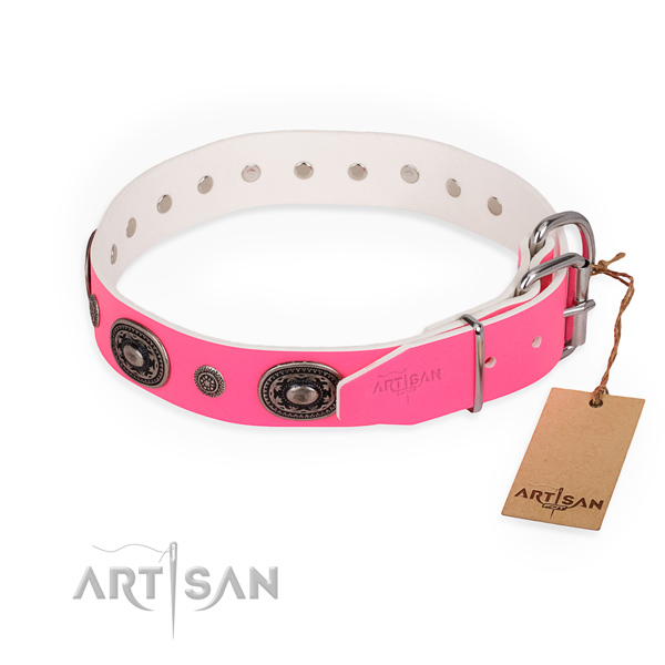 Everyday walking remarkable dog collar with strong buckle