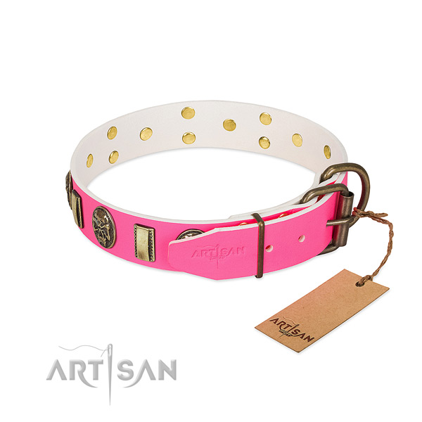 Reliable hardware on leather dog collar for your four-legged friend