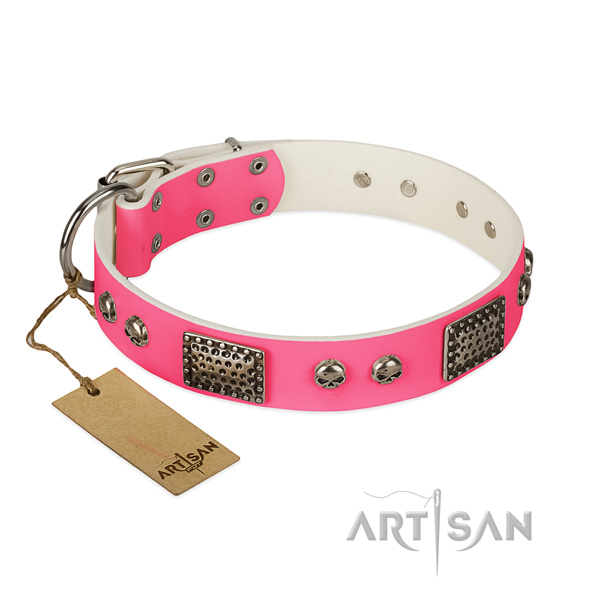 Easy wearing leather dog collar for everyday walking your dog