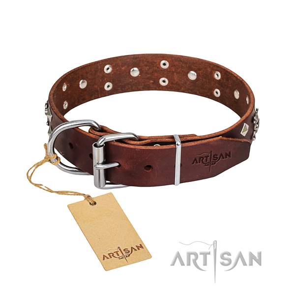 Daily use dog collar of top notch full grain genuine leather with adornments