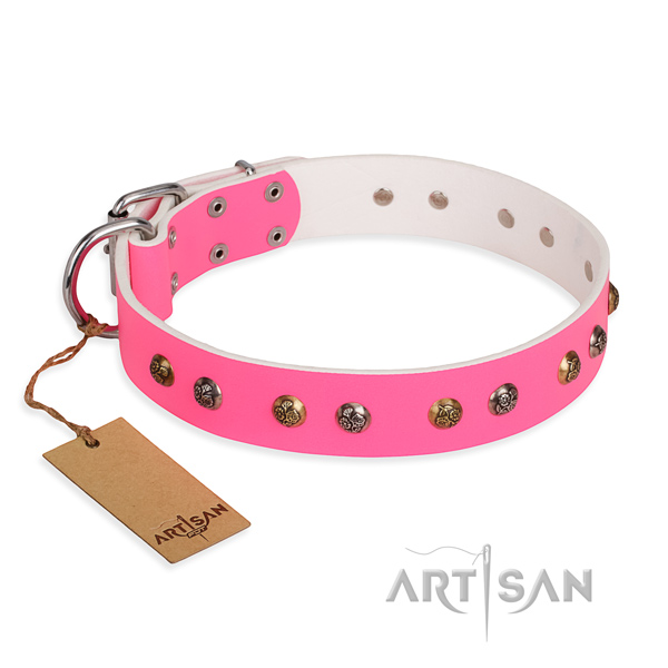 Stylish walking remarkable dog collar with rust-proof buckle