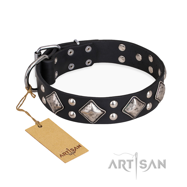 Stylish walking remarkable dog collar with rust-proof buckle
