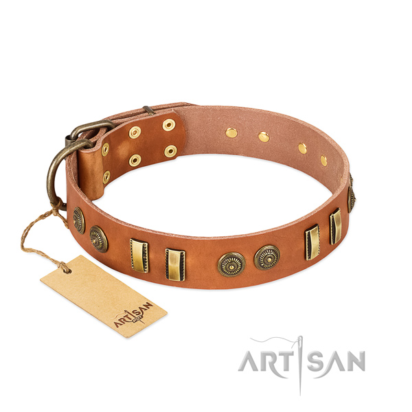 Reliable embellishments on genuine leather dog collar for your four-legged friend