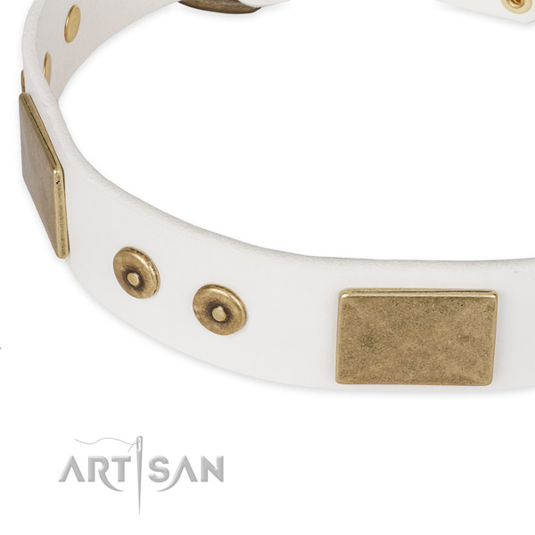 Durable adornments on full grain genuine leather dog collar for your dog