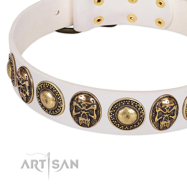 Durable studs on full grain leather dog collar for your canine