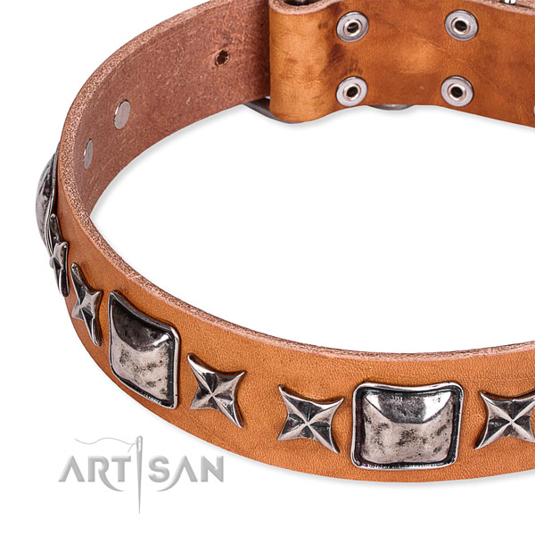 Comfy wearing adorned dog collar of fine quality full grain genuine leather