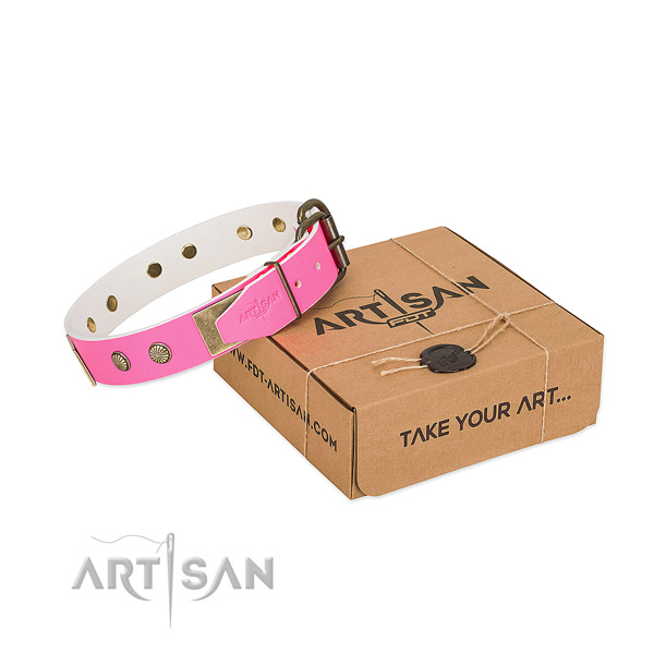 Rust resispinkt fittings on dog collar for handy use