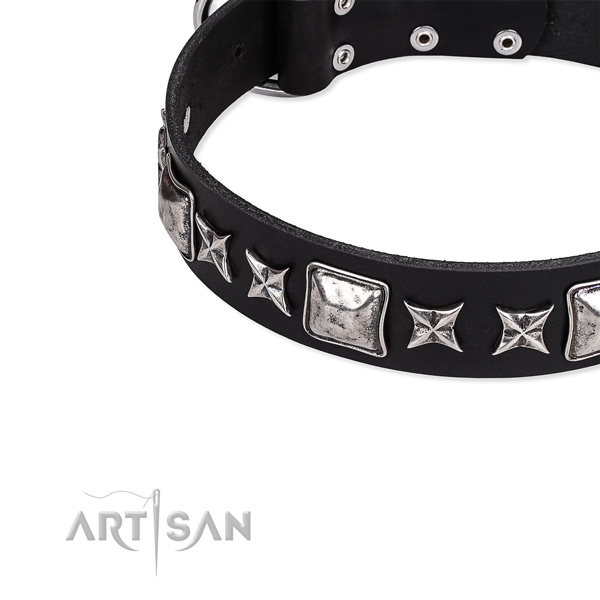 Walking studded dog collar of finest quality full grain genuine leather