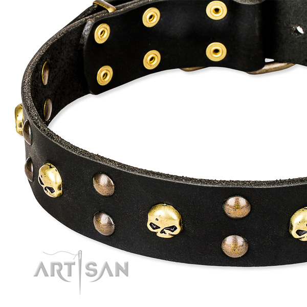 Daily walking decorated dog collar of top notch leather