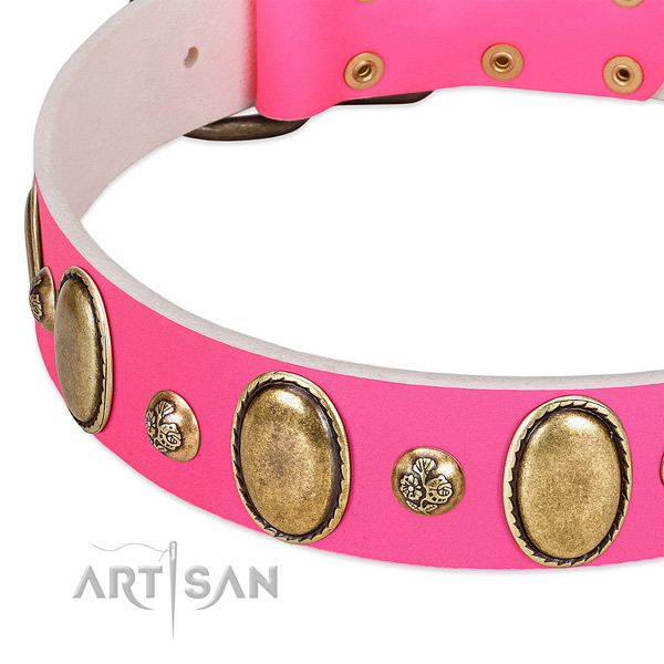 Stylish walking top rate full grain natural leather dog collar