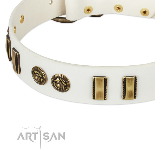 Rust-proof embellishments on natural leather dog collar for your canine