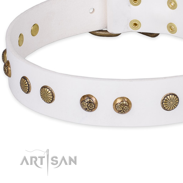 Full grain natural leather collar with reliable hardware for your lovely dog