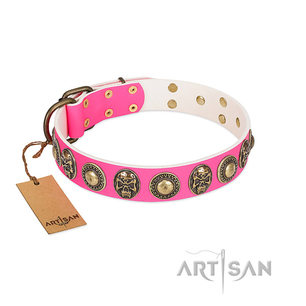 Easy adjustable genuine leather dog collar for everyday walking your canine