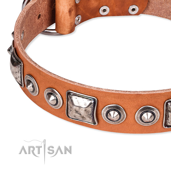 Reliable full grain genuine leather dog collar handcrafted for your handsome canine