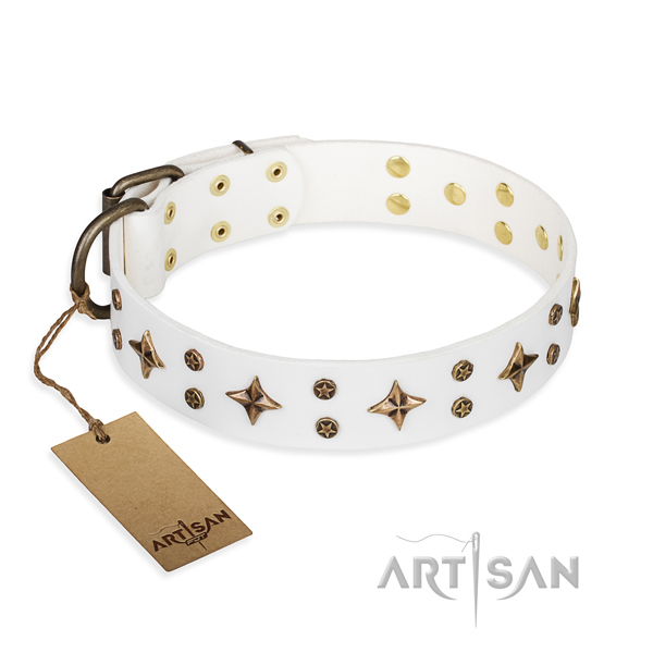 Everyday use dog collar of quality full grain genuine leather with adornments