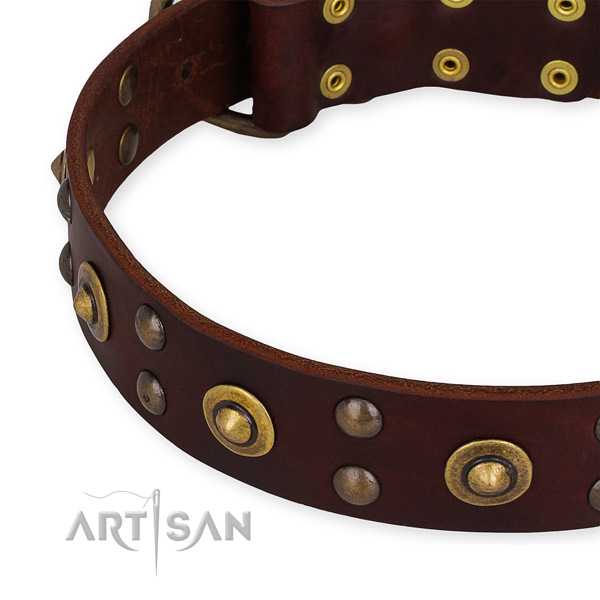 Genuine leather collar with corrosion resistant fittings for your handsome canine