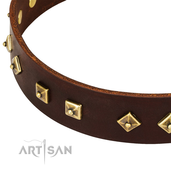 Unusual full grain leather collar for your beautiful dog