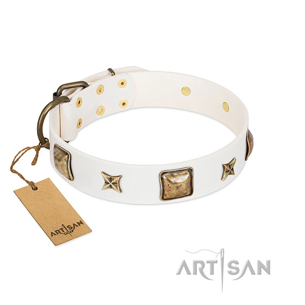 Amazing genuine leather dog collar for handy use