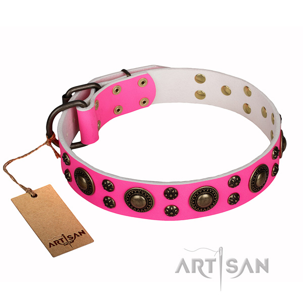 Daily use dog collar of strong genuine leather with embellishments