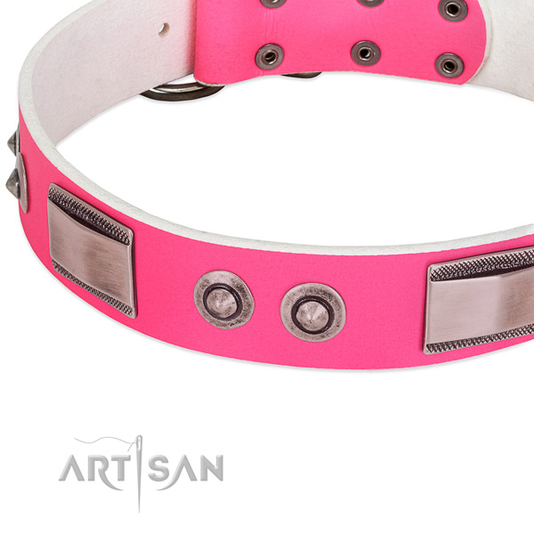Handmade genuine leather collar with embellishments for your dog