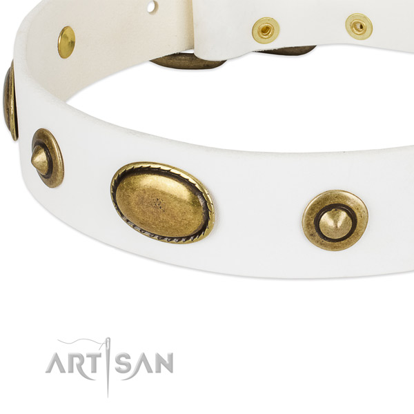 Corrosion resistant buckle on leather dog collar for your four-legged friend