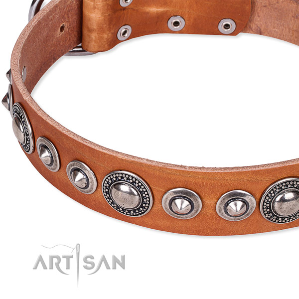 Walking adorned dog collar of best quality full grain genuine leather