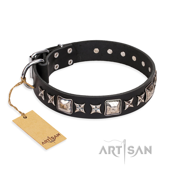 Everyday use dog collar of top quality full grain leather with embellishments
