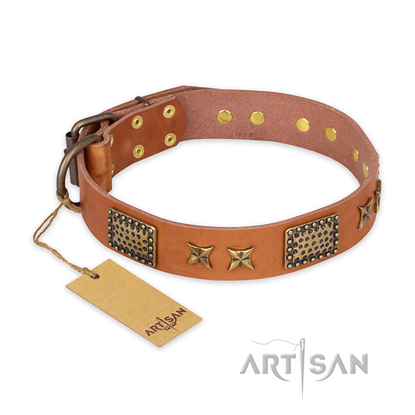 Designer full grain genuine leather dog collar with rust-proof traditional buckle