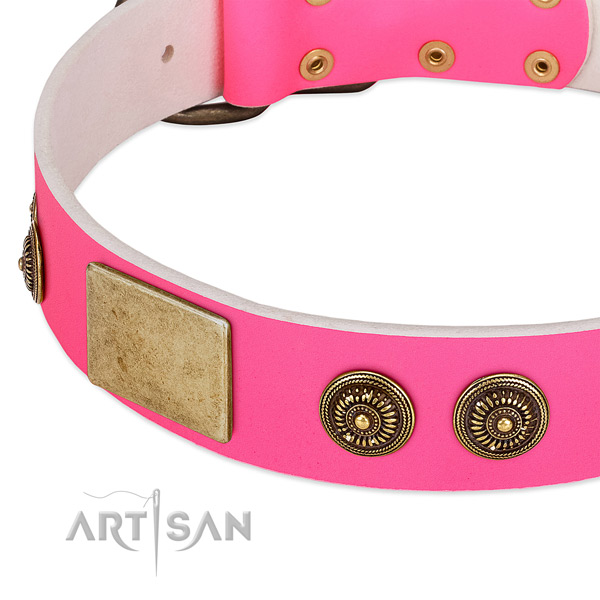 Top notch dog collar handmade for your attractive canine