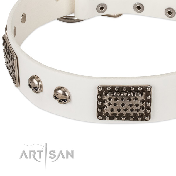 Corrosion proof fittings on genuine leather dog collar for your doggie