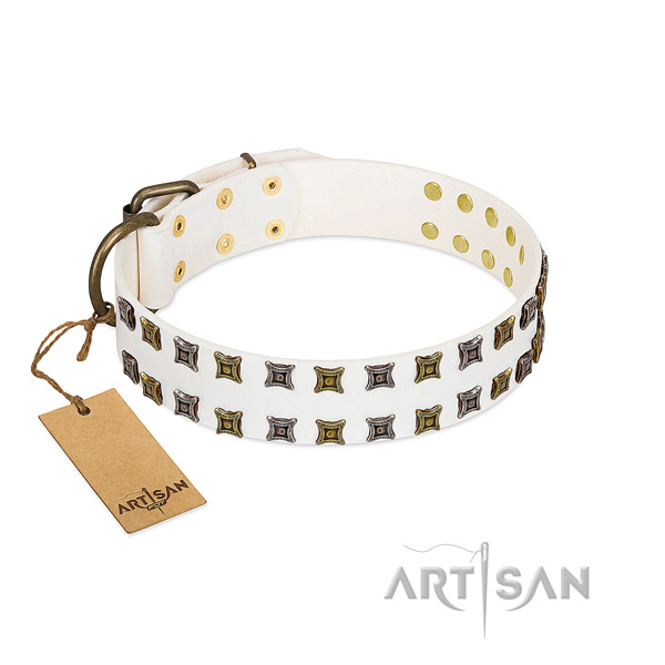 Natural leather collar with incredible adornments for your canine