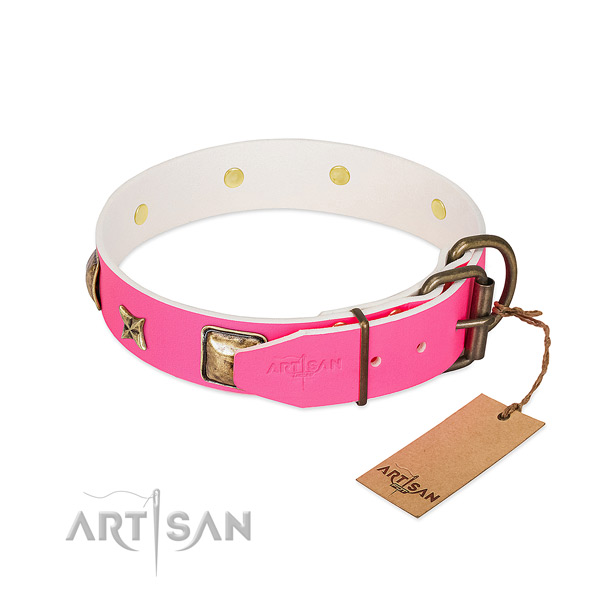 Strong fittings on full grain leather collar for basic training your pet