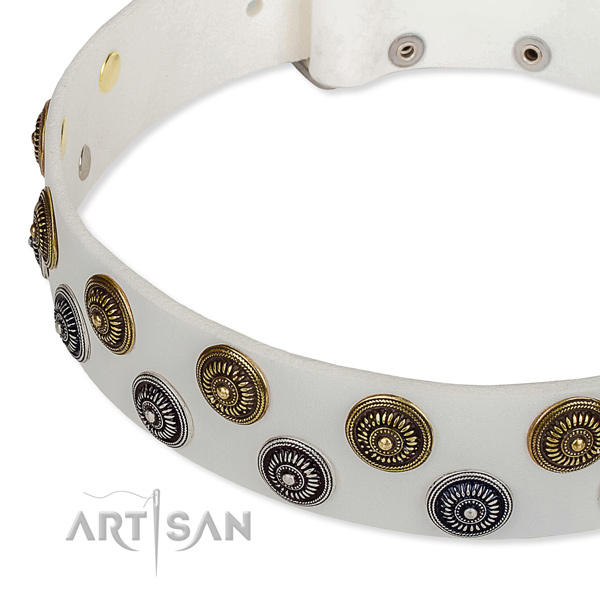 Daily use adorned dog collar of best quality natural leather