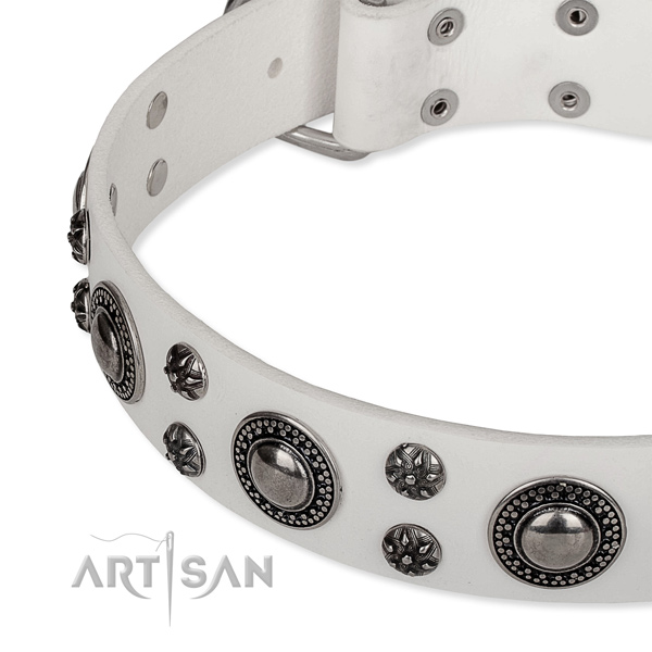 Stylish walking adorned dog collar of reliable full grain genuine leather