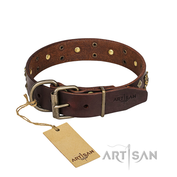 Daily walking dog collar of durable full grain natural leather with studs