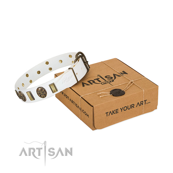 Strong traditional buckle on genuine leather dog collar for basic training