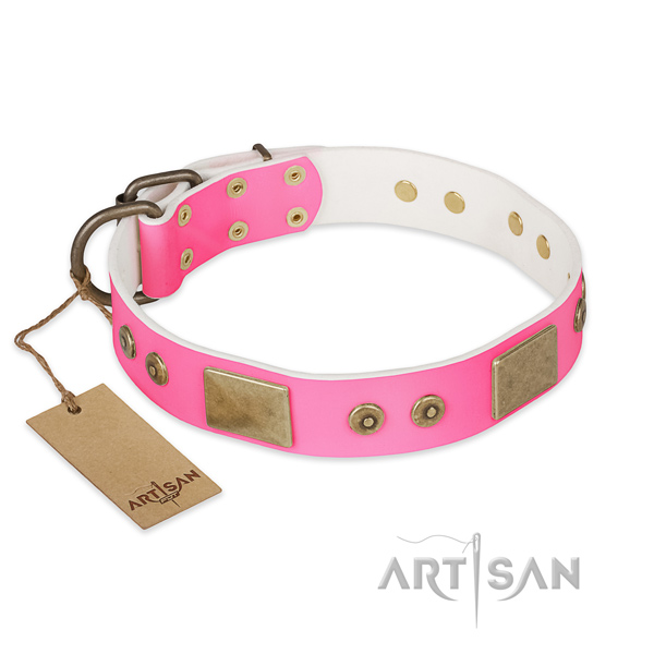 Easy to adjust leather dog collar for everyday walking your canine