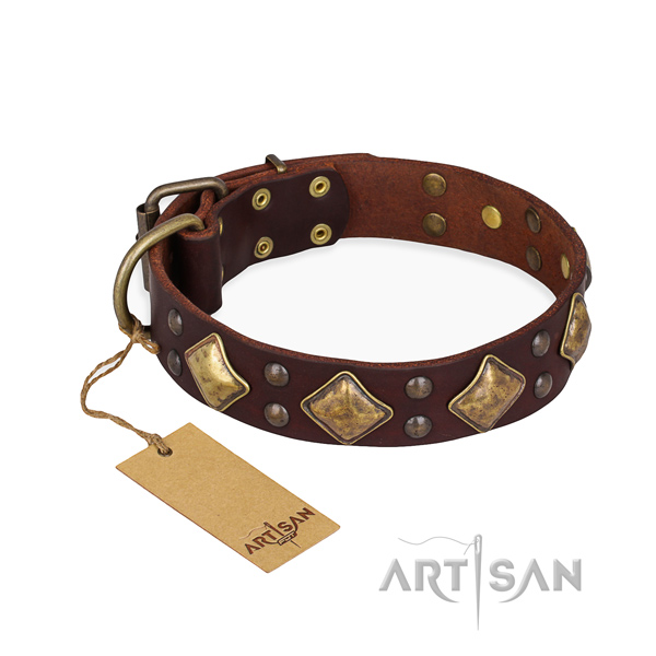 Daily walking best quality dog collar with corrosion resistant buckle