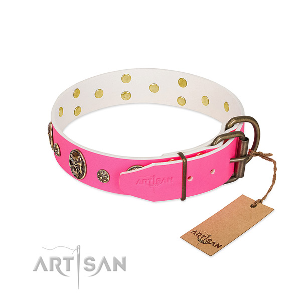 Corrosion resistant buckle on full grain leather collar for basic training your pet