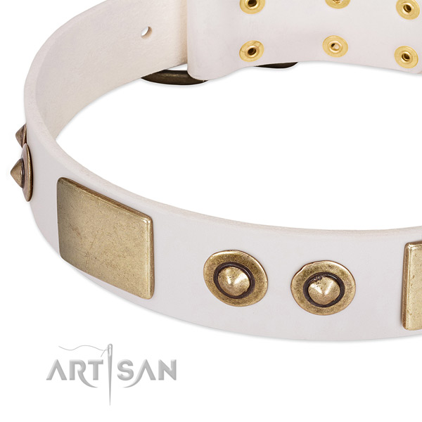 Rust resistant studs on natural genuine leather dog collar for your doggie